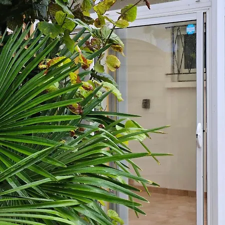 Maison Plain Pied Hyper Centre Et 300m De